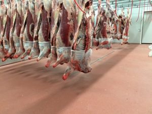 pavimentos metracilato